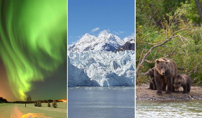 Wild, Powerful, Unforgettable: From Dreaming About Alaska to Actually Going There