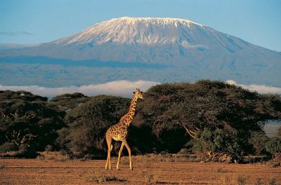 Kenya: Classic Safari, Deeply Experienced