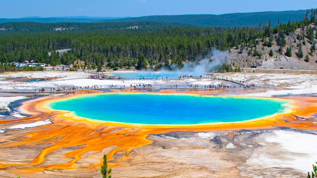 Special Interest Groups & Unique Occasions